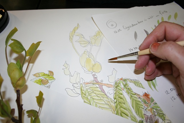 botanisch tekenen