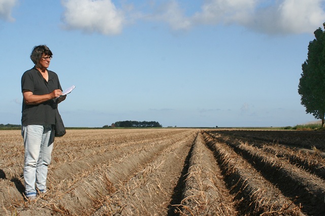 op het Hogeland (2017)